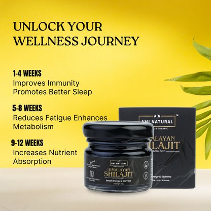 Himalayan Shilajit for Strength, Stamina and Vitality | for Men & Women | Pack of 1-20g