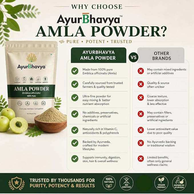 Amla Powder for Hair in a beige resealable pouch with green branding and fresh amla fruits beside it, showcasing purity and natural benefits